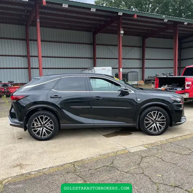 2024 Lexus RX-Series RX350 F SPORT 1