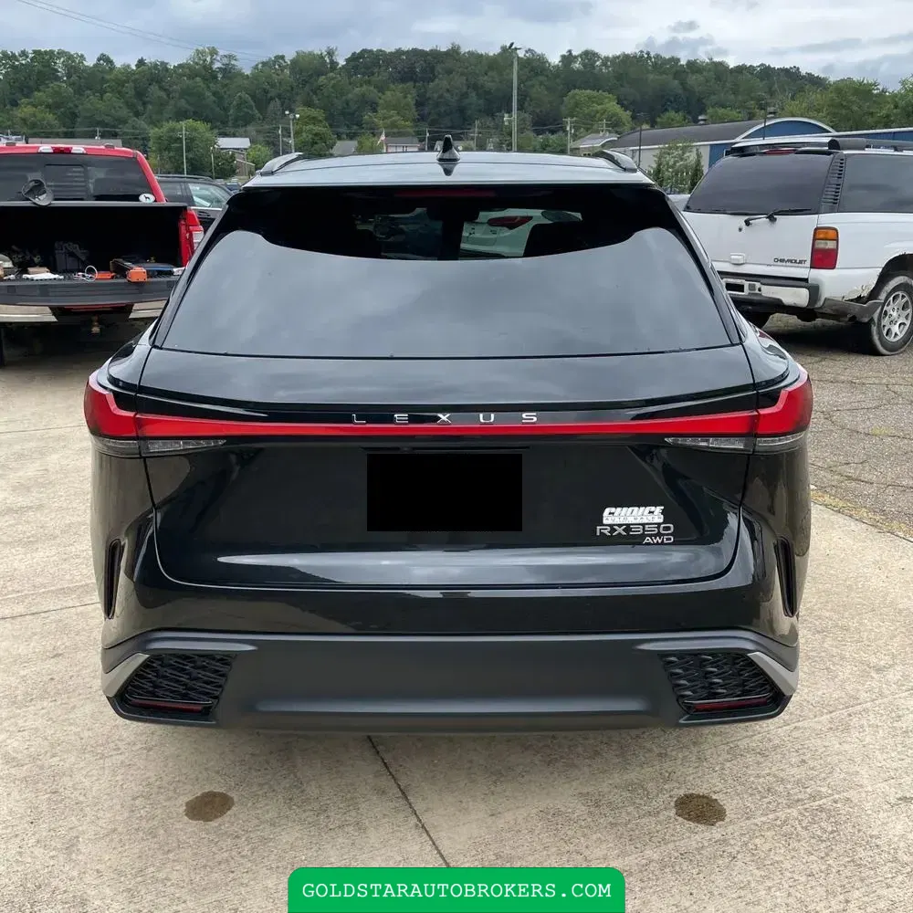 2024 Lexus RX-Series RX350 F SPORT 1