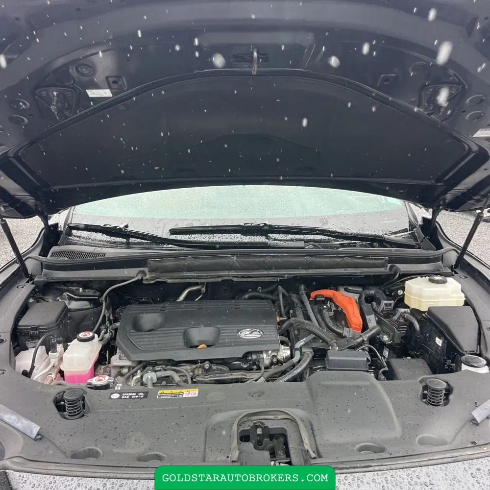 2024 Lexus RX 350h Premium+