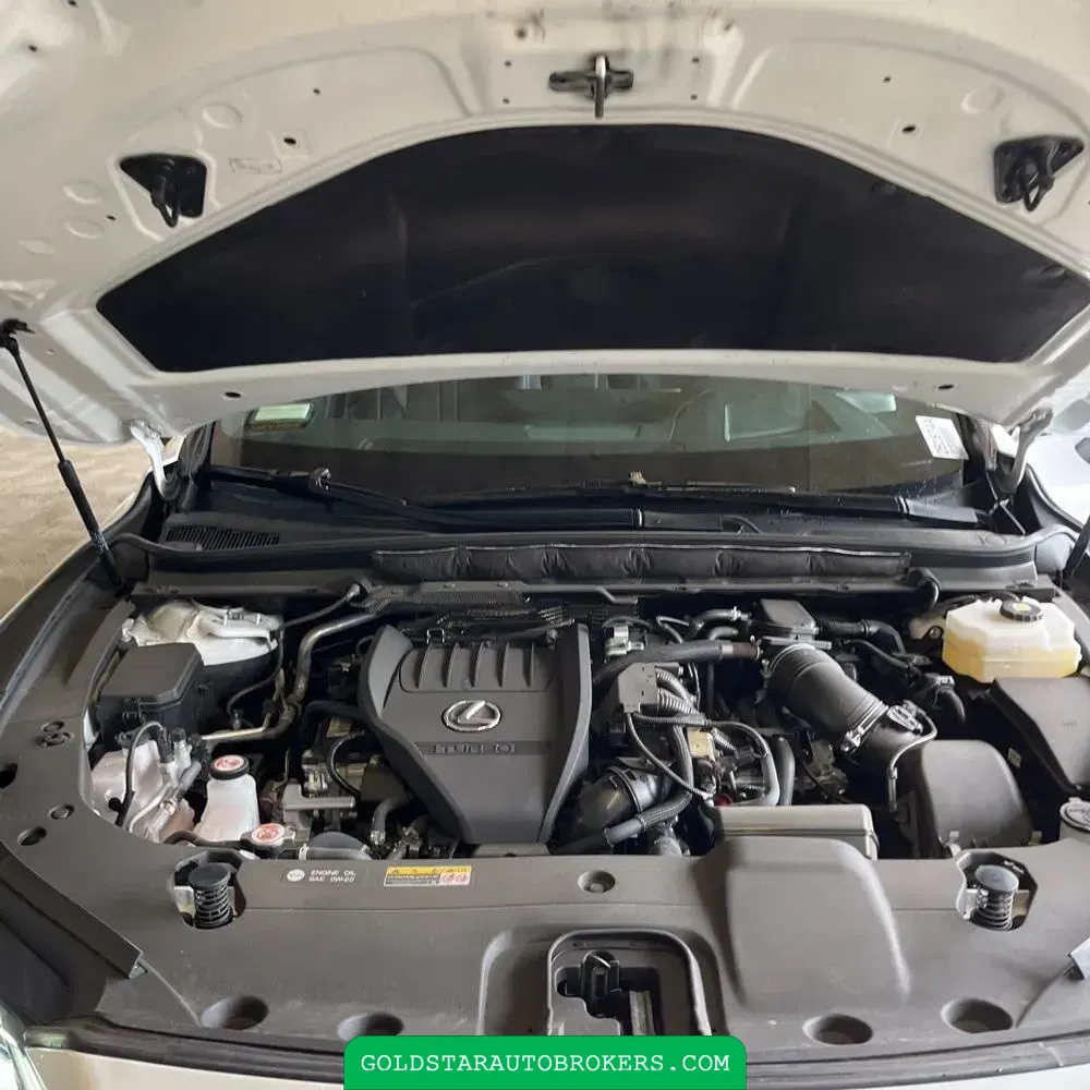 2024 Lexus RX 500h F SPORT Performance