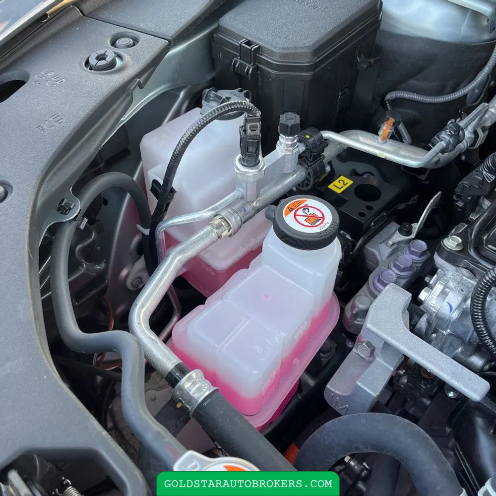 2023 Lexus RX 500h F SPORT Performance