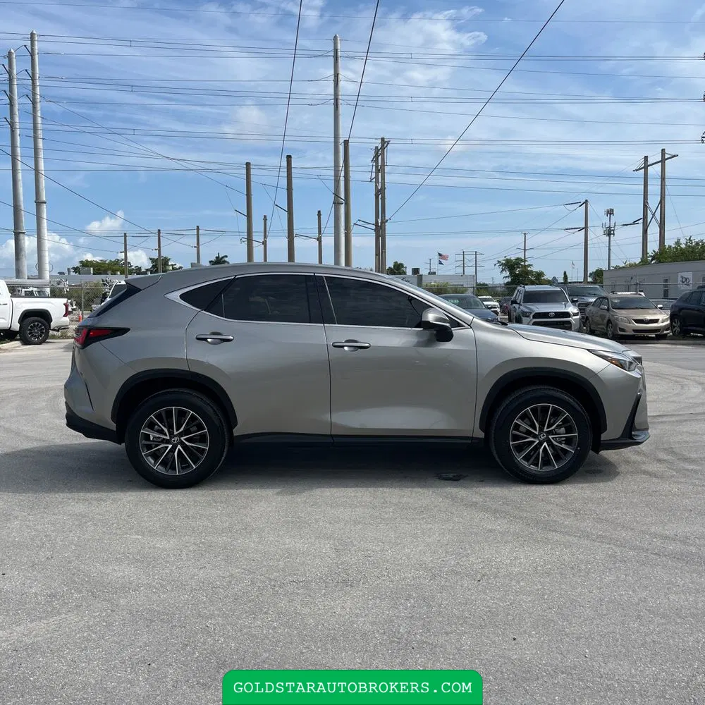 2025 Lexus NX 250 Premium