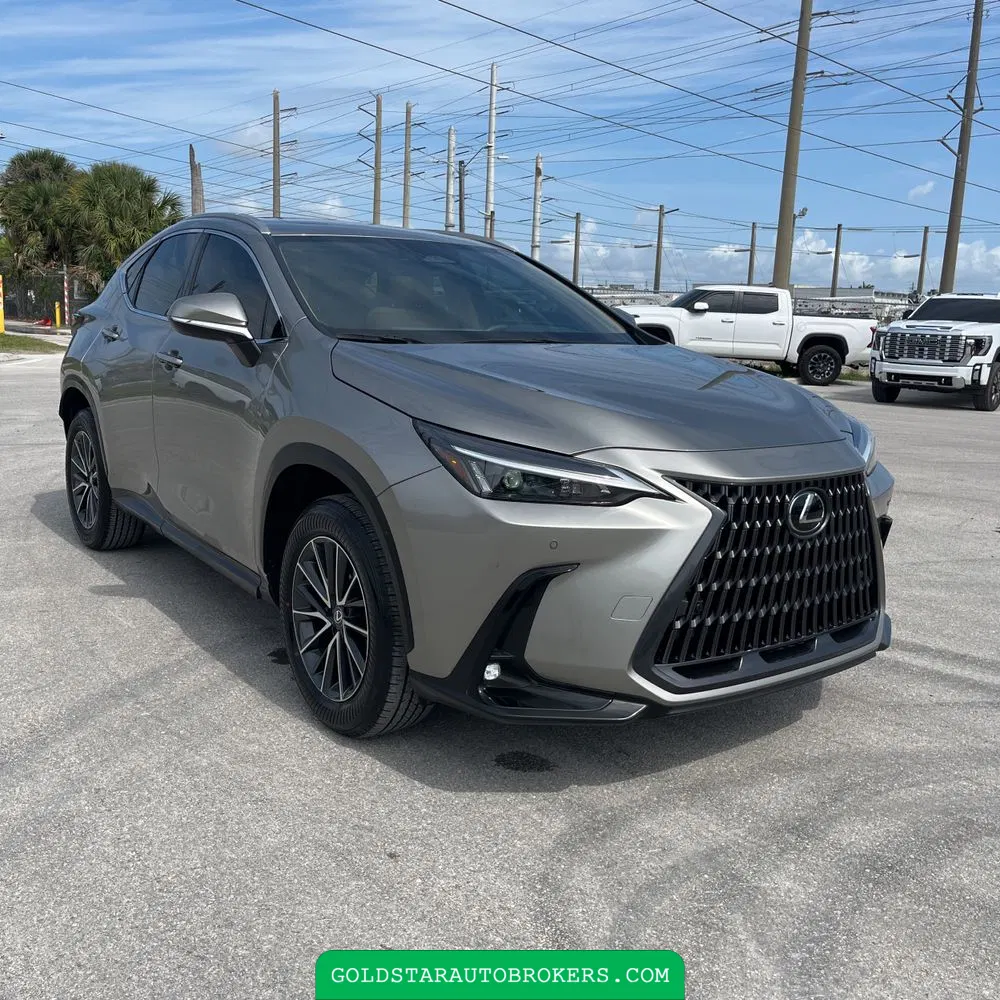 2025 Lexus NX 250 Premium