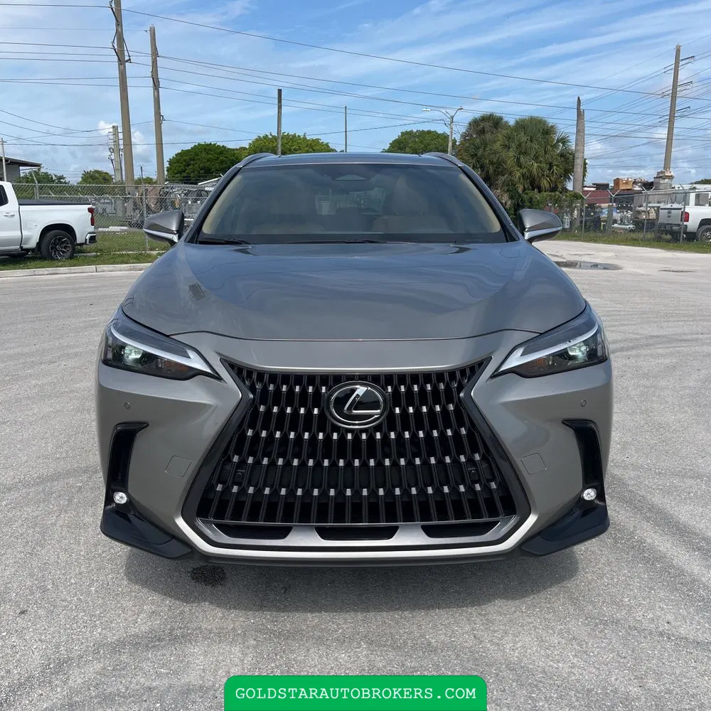 2025 Lexus NX 250 Premium