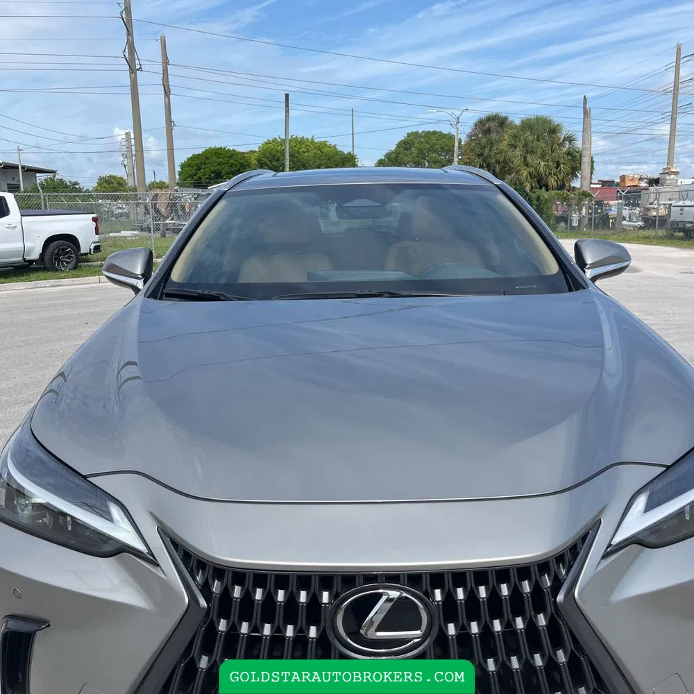 2025 Lexus NX 250 Premium
