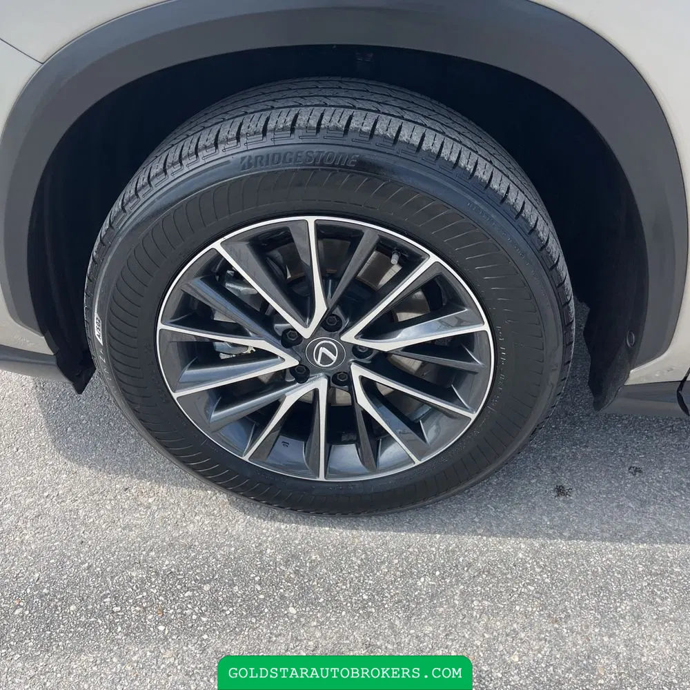 2025 Lexus NX 250 Premium