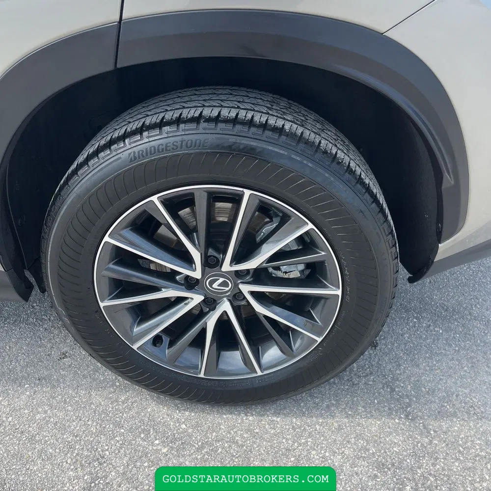 2025 Lexus NX 250 Premium