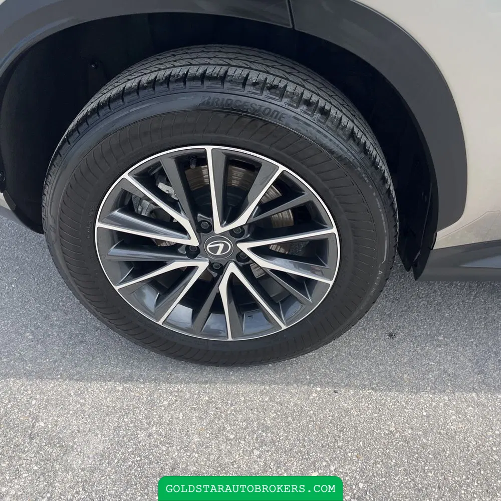 2025 Lexus NX 250 Premium