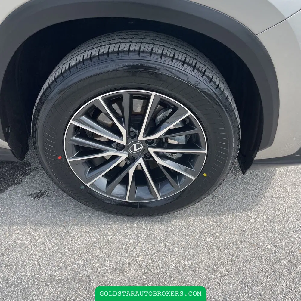 2025 Lexus NX 250 Premium