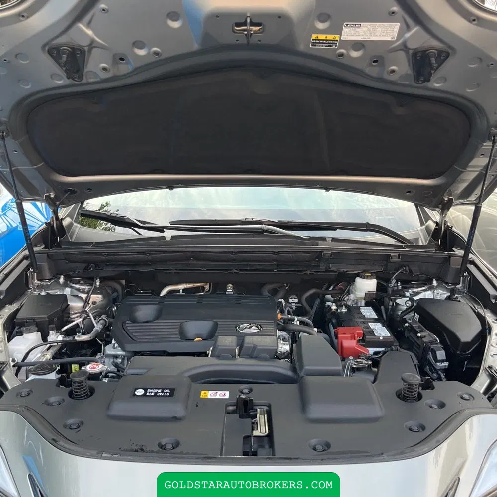2025 Lexus NX 250 Premium