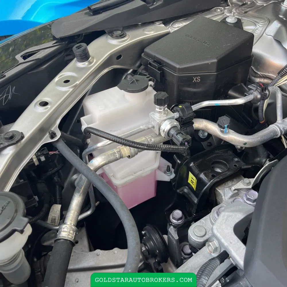 2025 Lexus NX 250 Premium