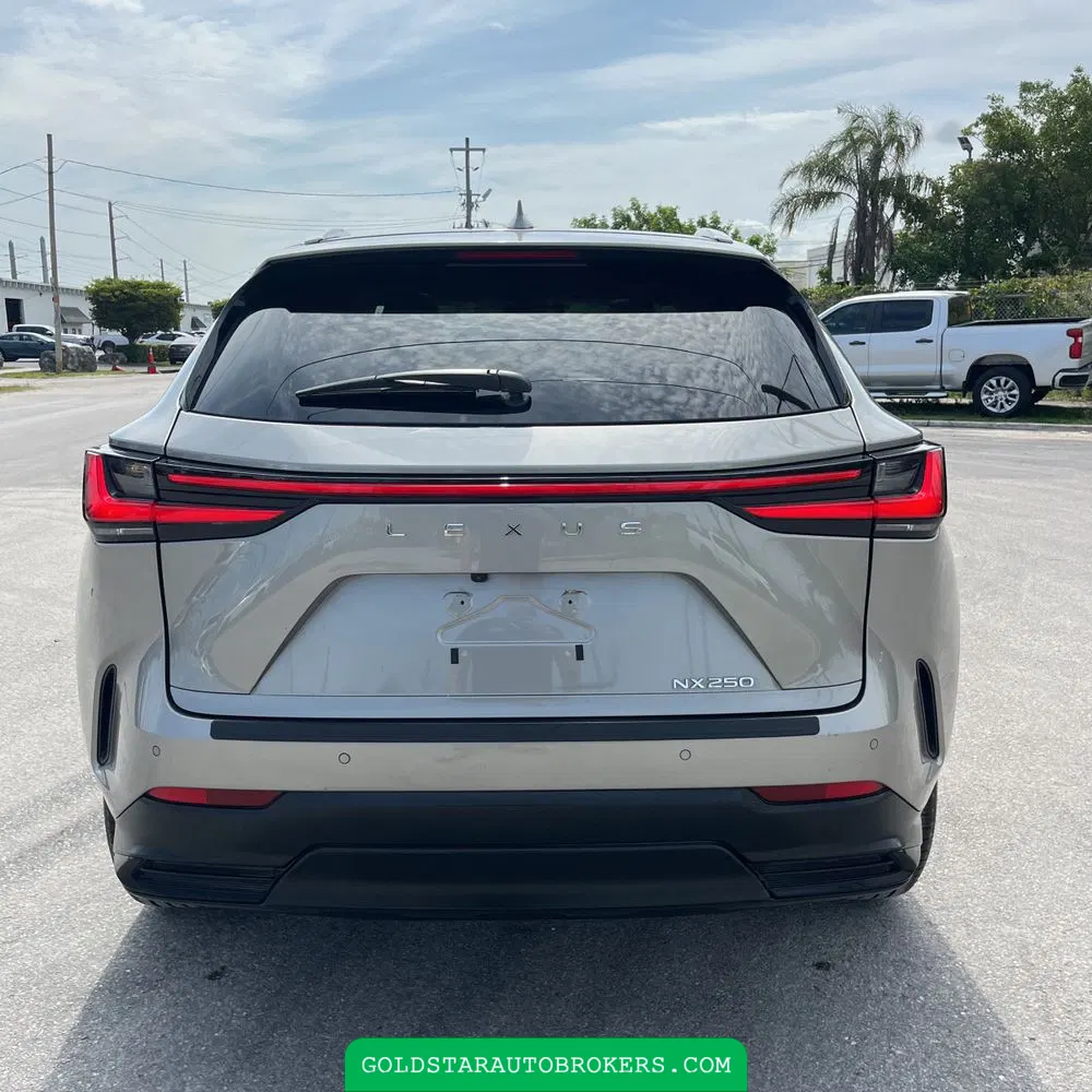 2025 Lexus NX 250 Premium