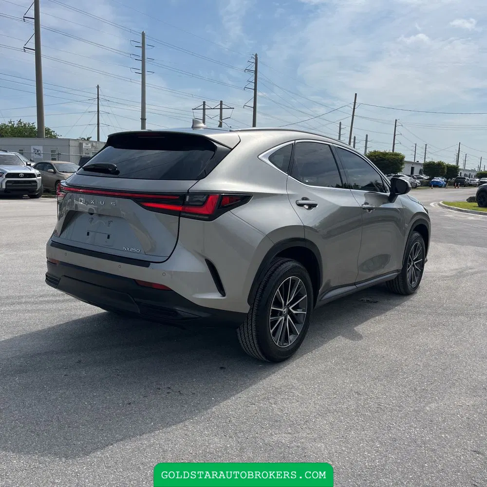 2025 Lexus NX 250 Premium