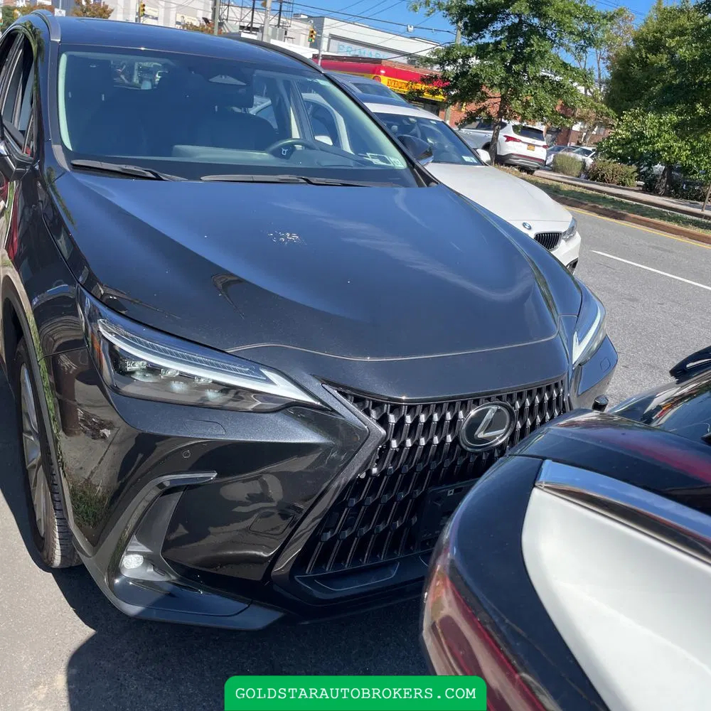 2023 Lexus NX 350 Luxury