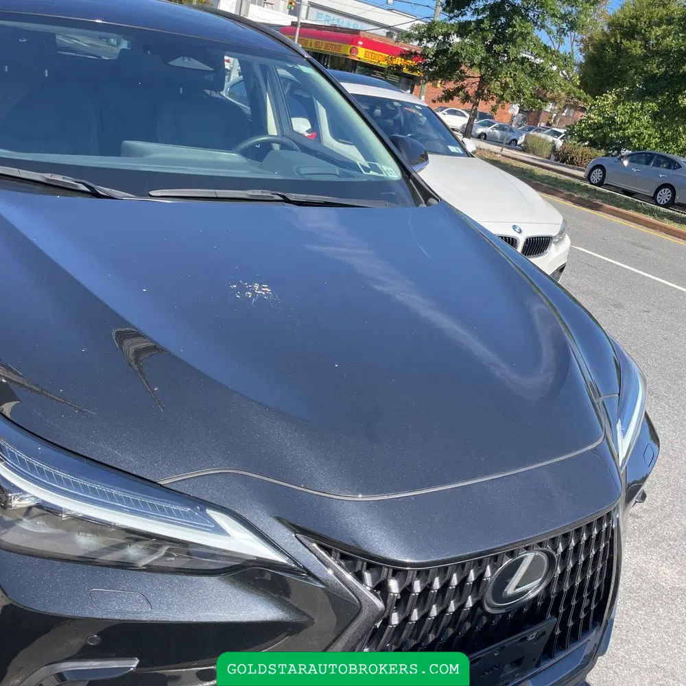 2023 Lexus NX 350 Luxury