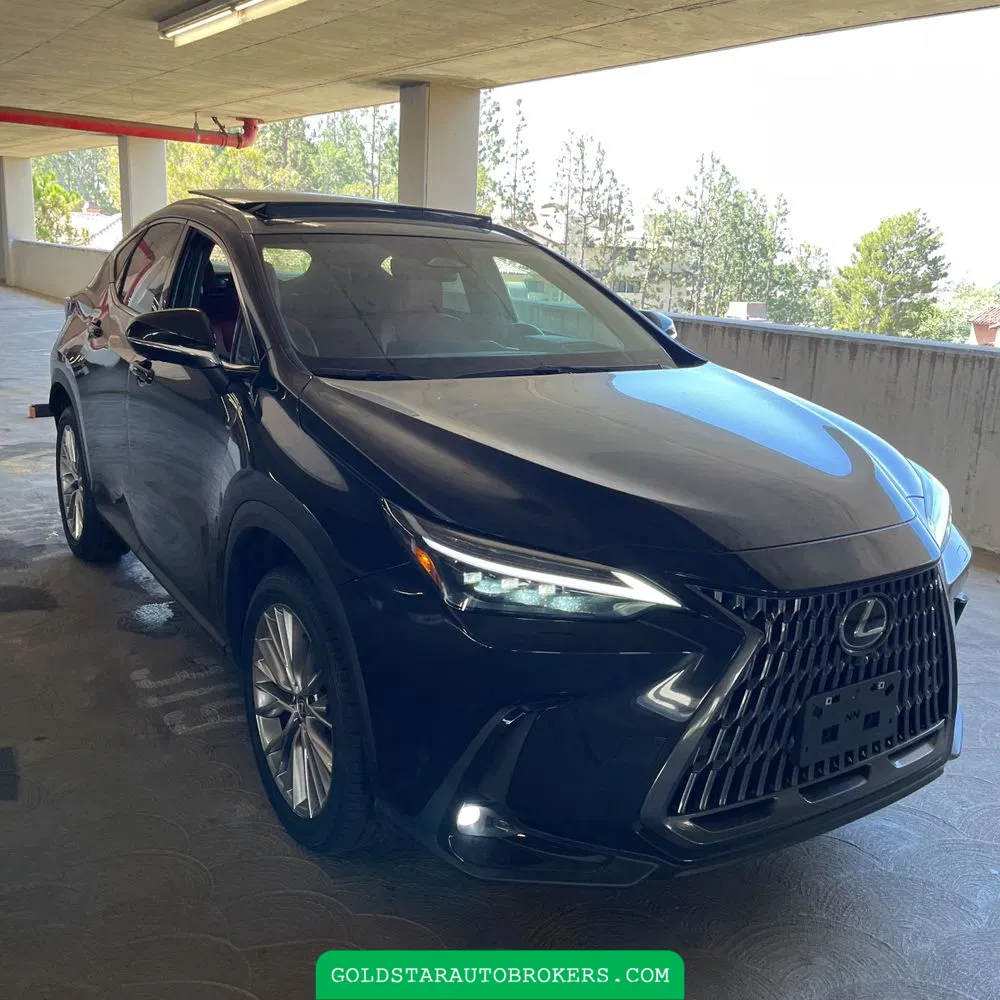 2025 Lexus NX 350 Luxury