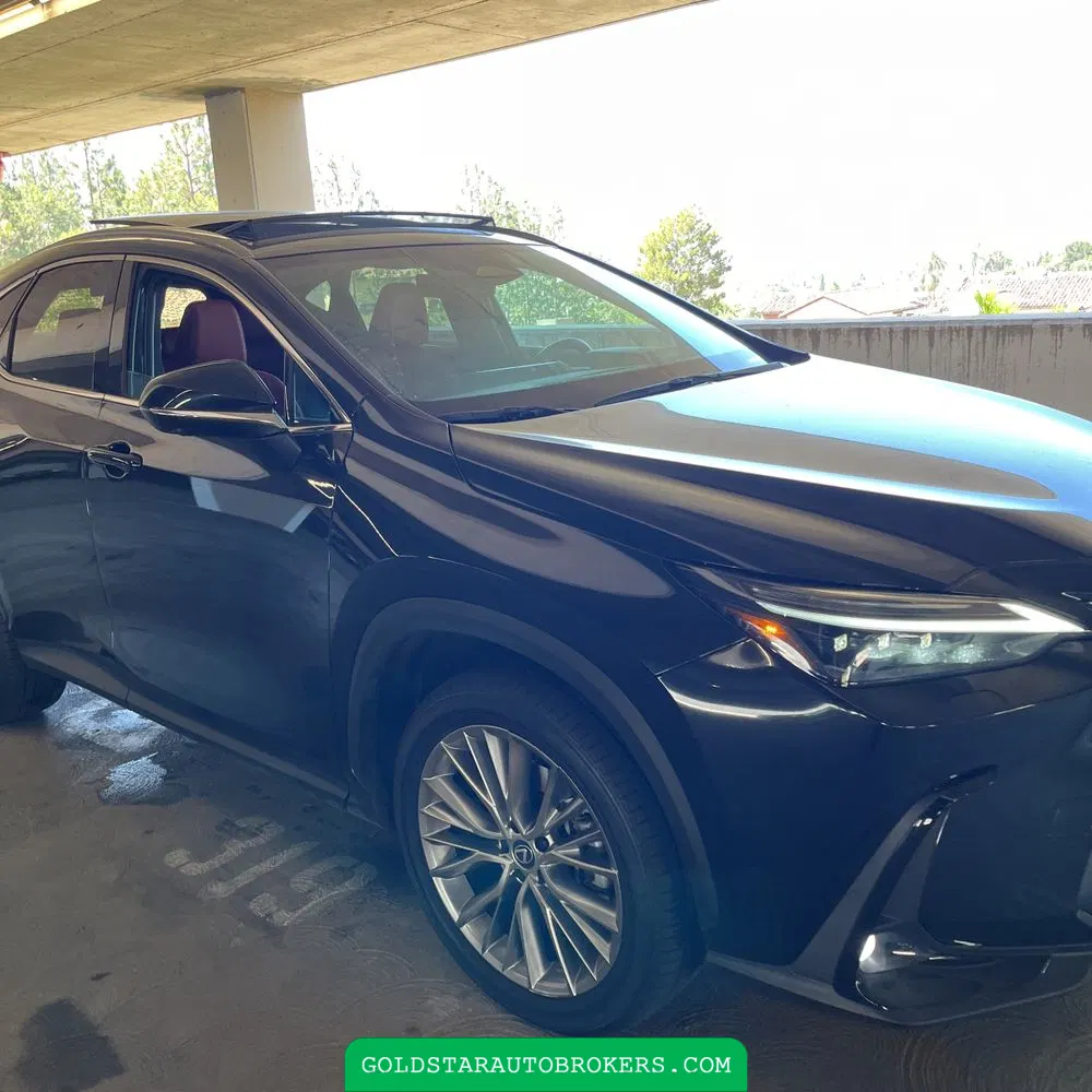 2025 Lexus NX 350 Luxury