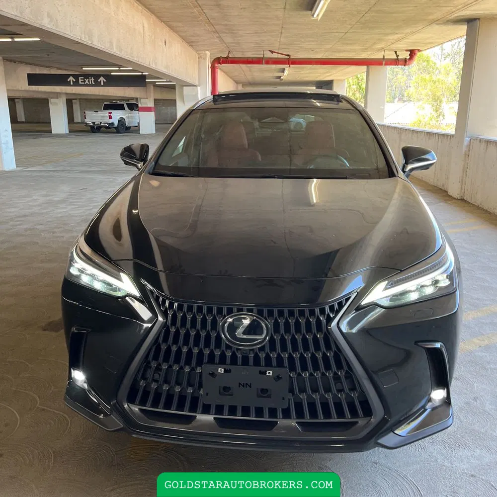 2025 Lexus NX 350 Luxury