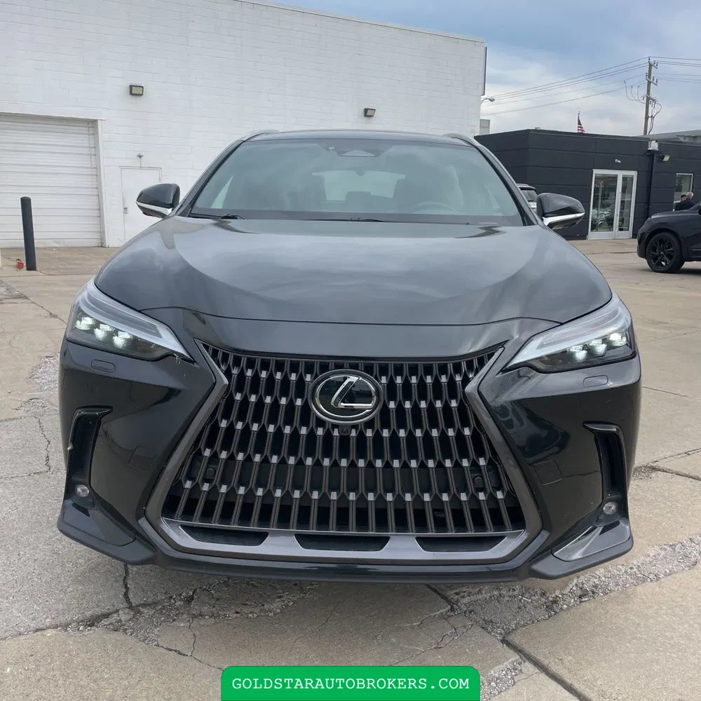 2024 Lexus NX 350h Luxury
