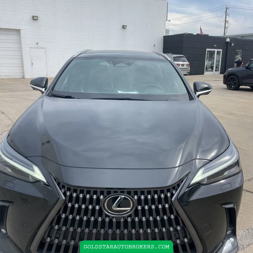 2024 Lexus NX 350h Luxury