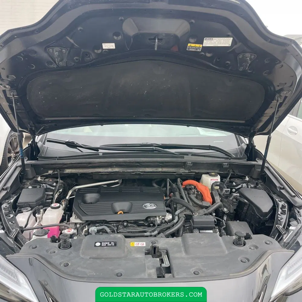 2024 Lexus NX 350h Luxury