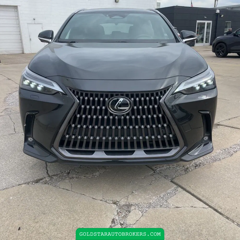 2024 Lexus NX 350h Luxury