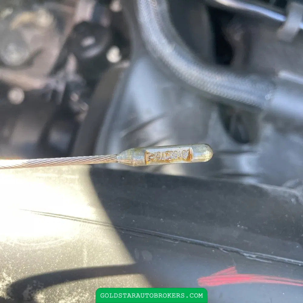 2021 Ram ProMaster 3500 159 WB
