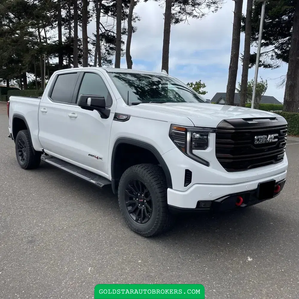 2023 GMC Sierra 1500 AT4X
