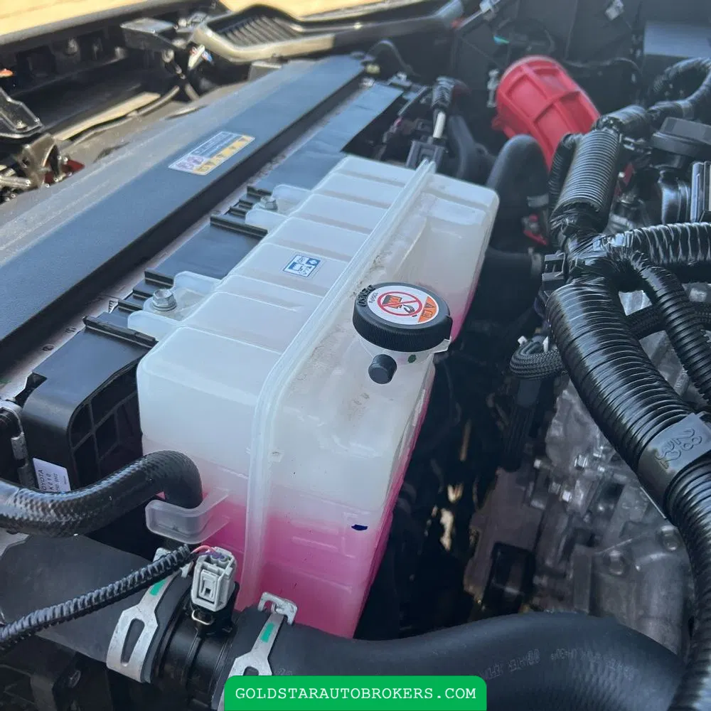 2024 Toyota Tacoma TRD Pro HV