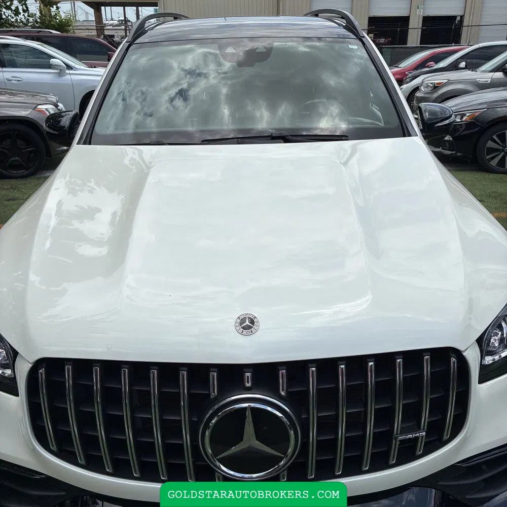 2021 Mercedes-Benz GLS AMG GLS 63