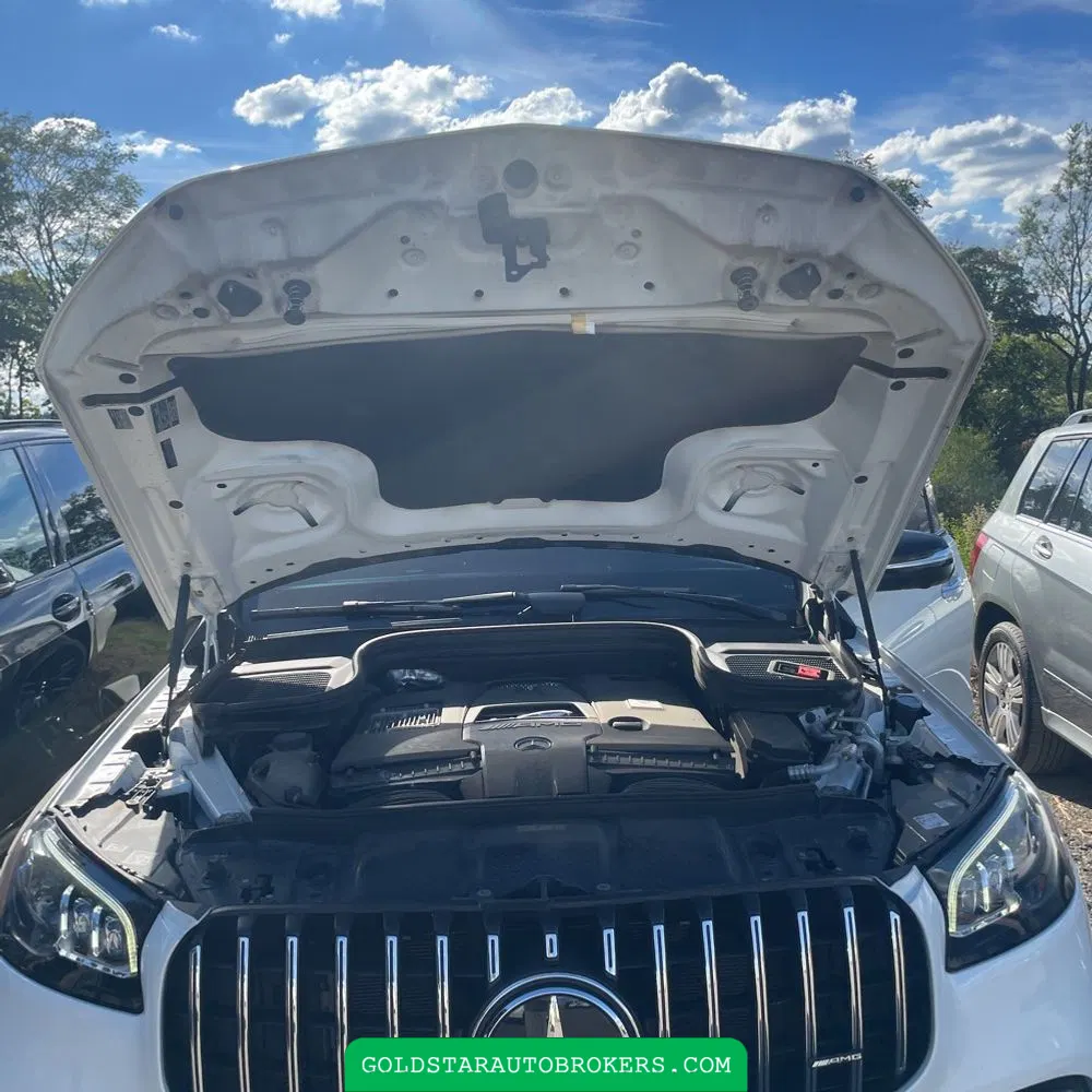 2021 Mercedes-Benz GLS AMG GLS 63