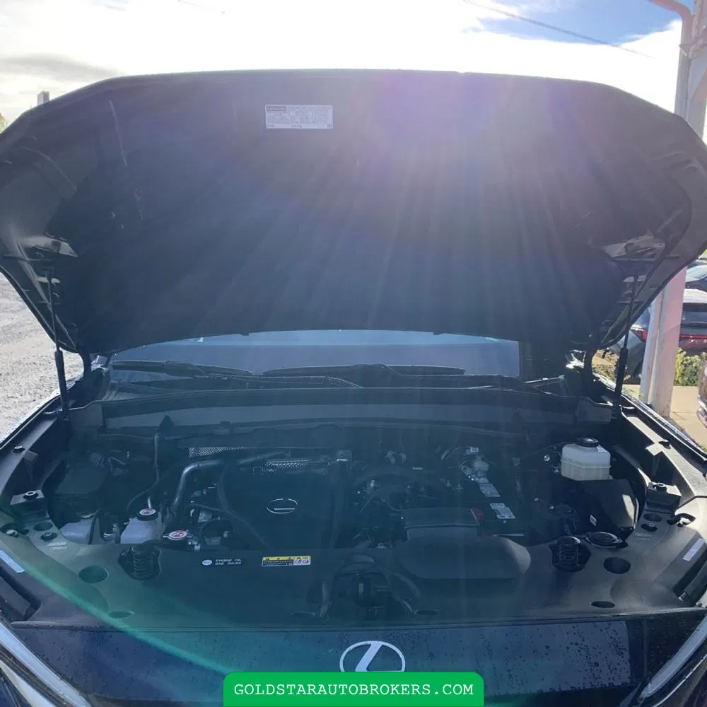 2024 Lexus TX 350 Premium