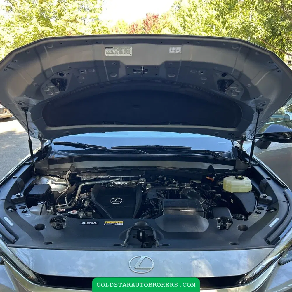 2025 Lexus TX 500h F SPORT Performance Premium
