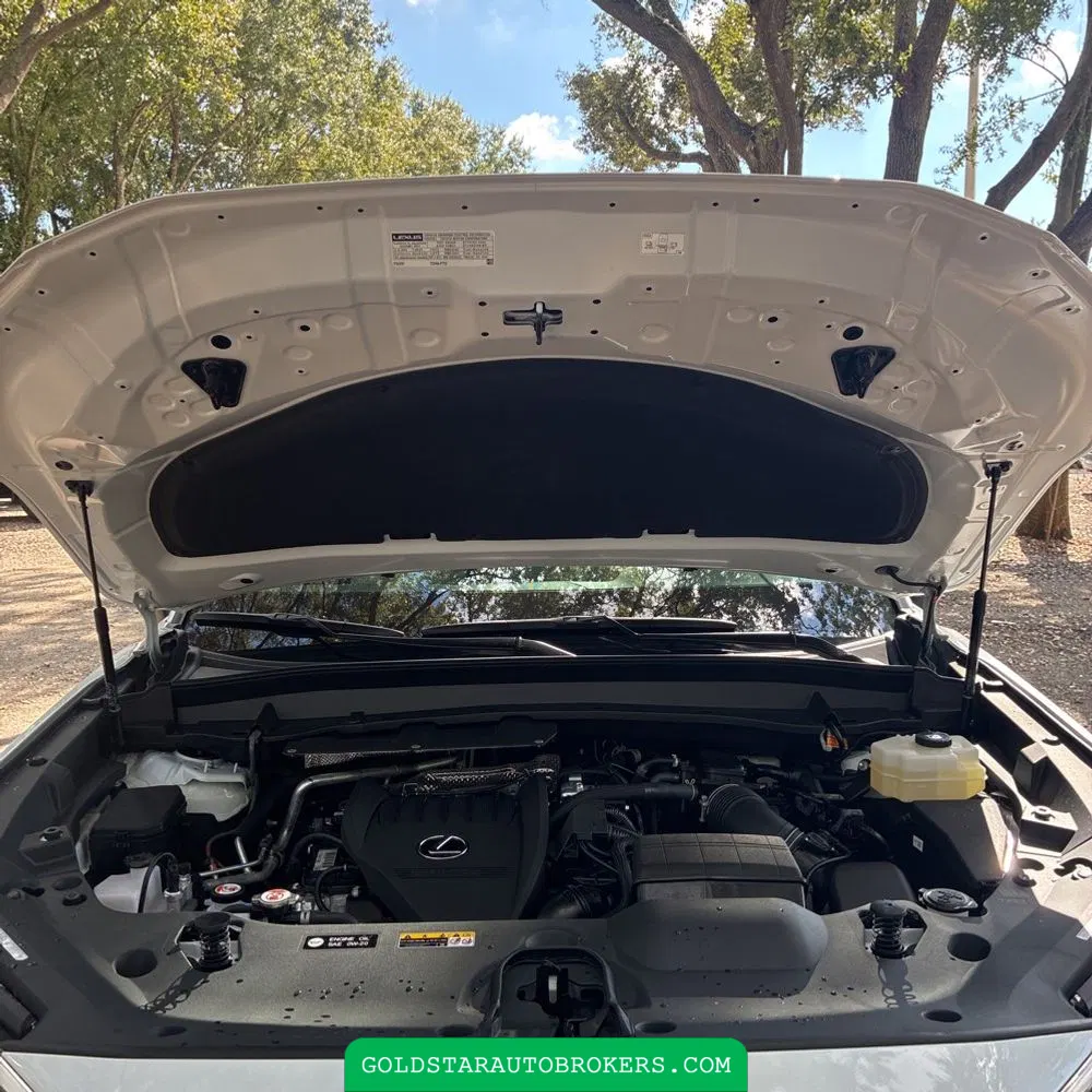 2025 Lexus TX 500h F SPORT Performance Premium