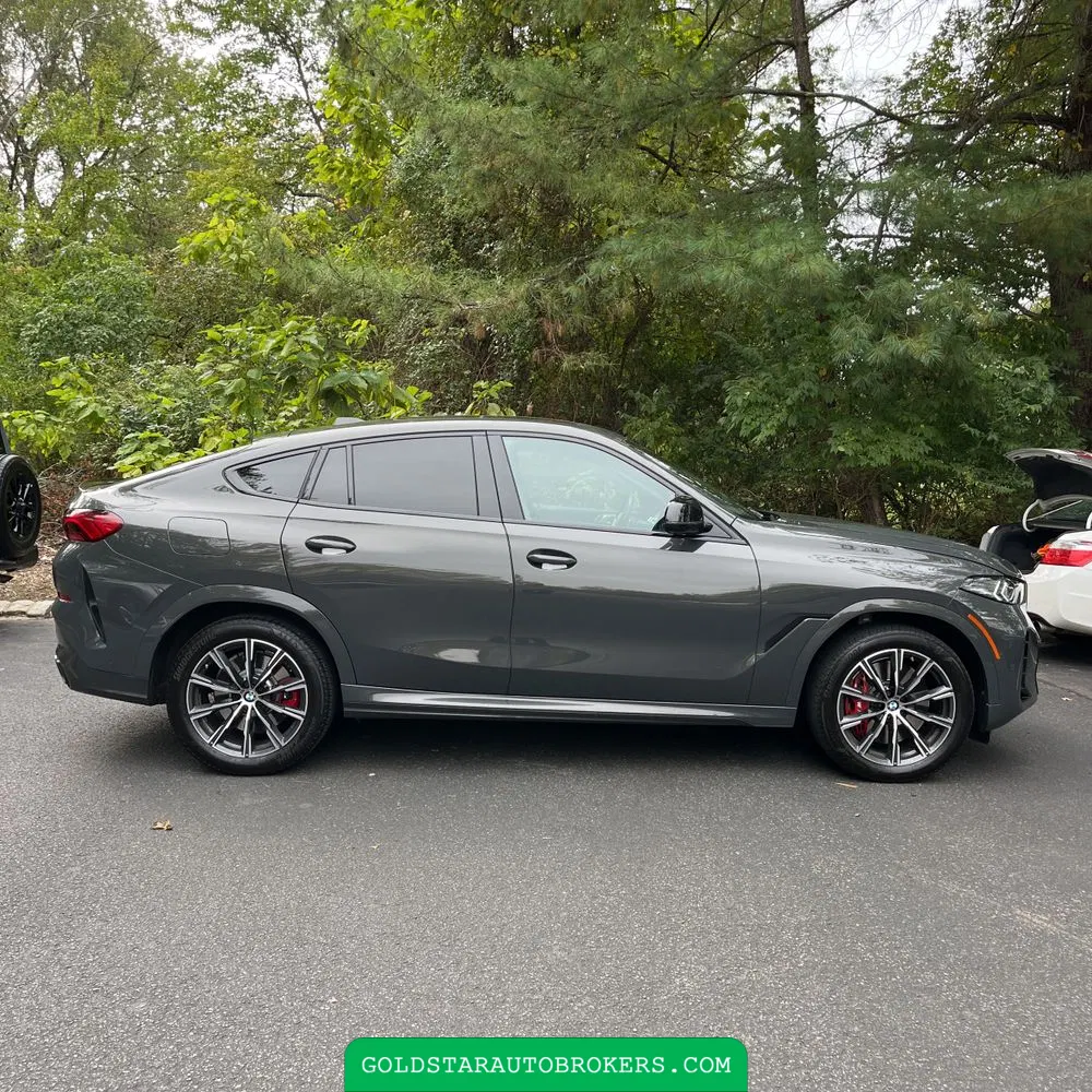 2024 BMW X6 M60i