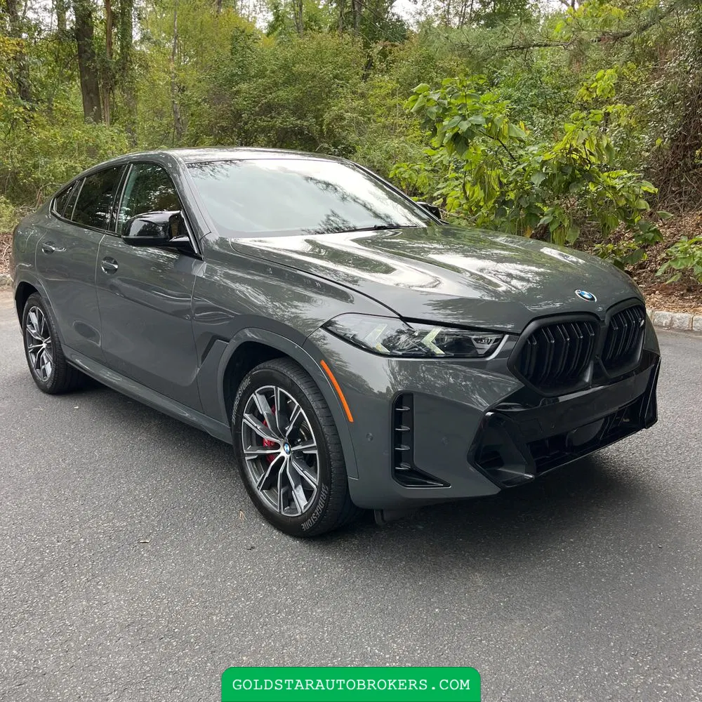 2024 BMW X6 M60i