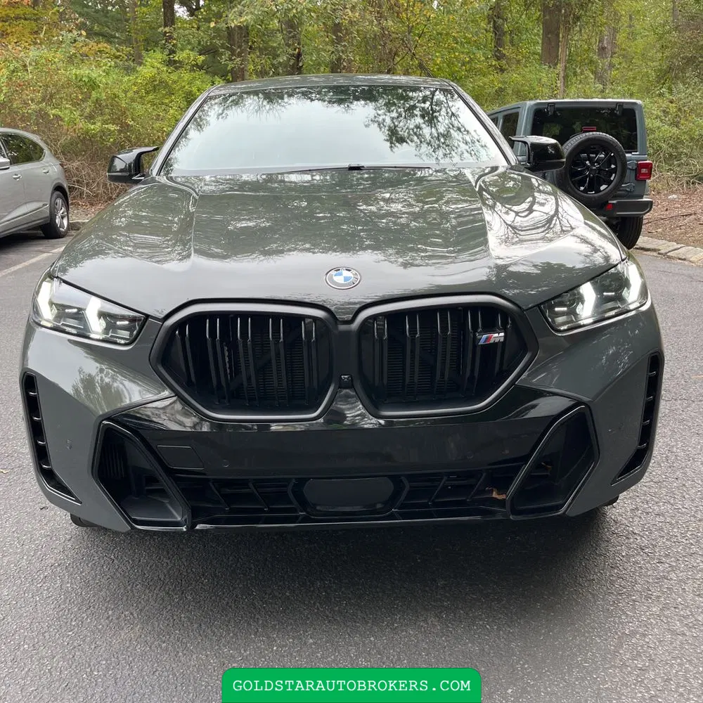 2024 BMW X6 M60i