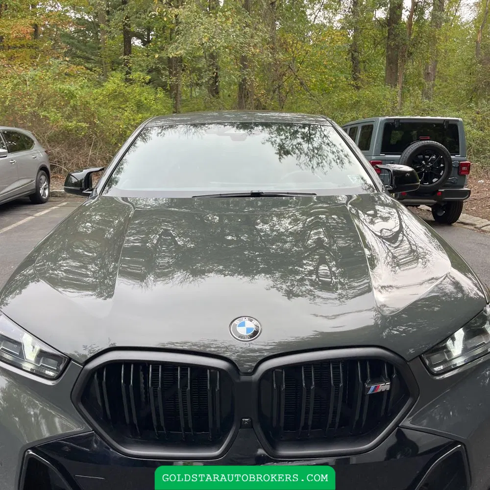 2024 BMW X6 M60i