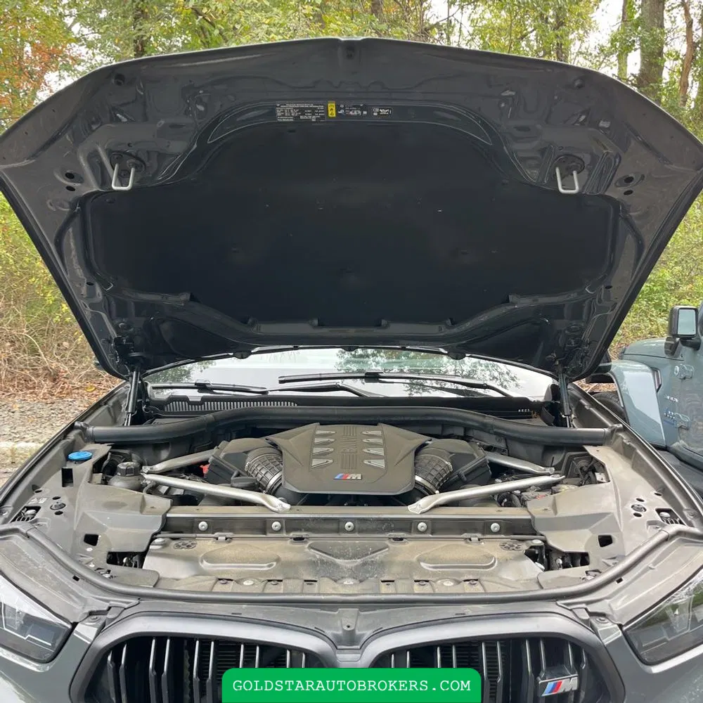 2024 BMW X6 M60i