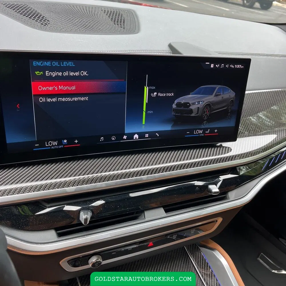 2024 BMW X6 M60i