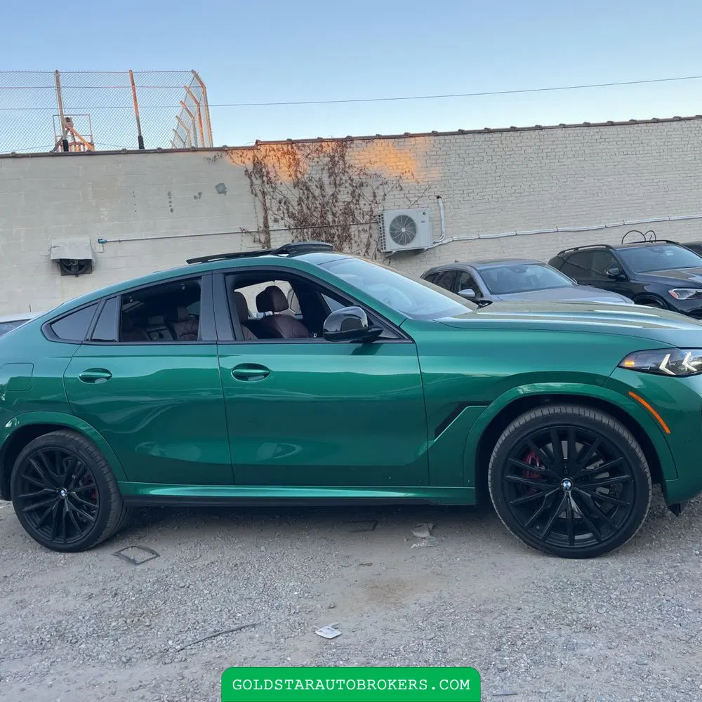 2024 BMW X6 M60i