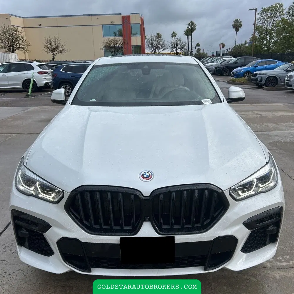 2023 BMW X6 M50i