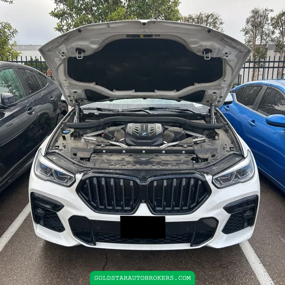 2023 BMW X6 M50i