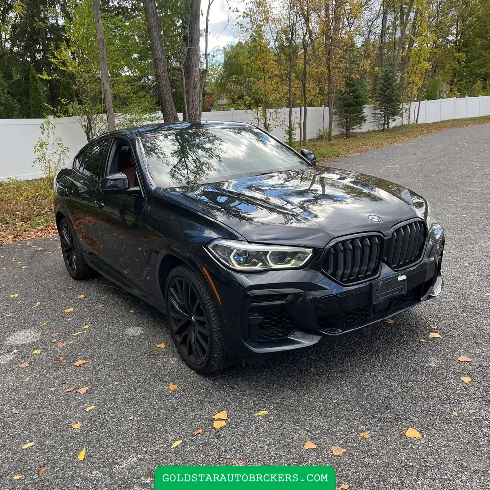 2022 BMW X6 M50i