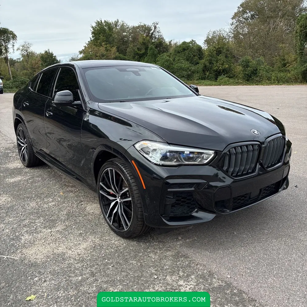 2022 BMW X6 M50i