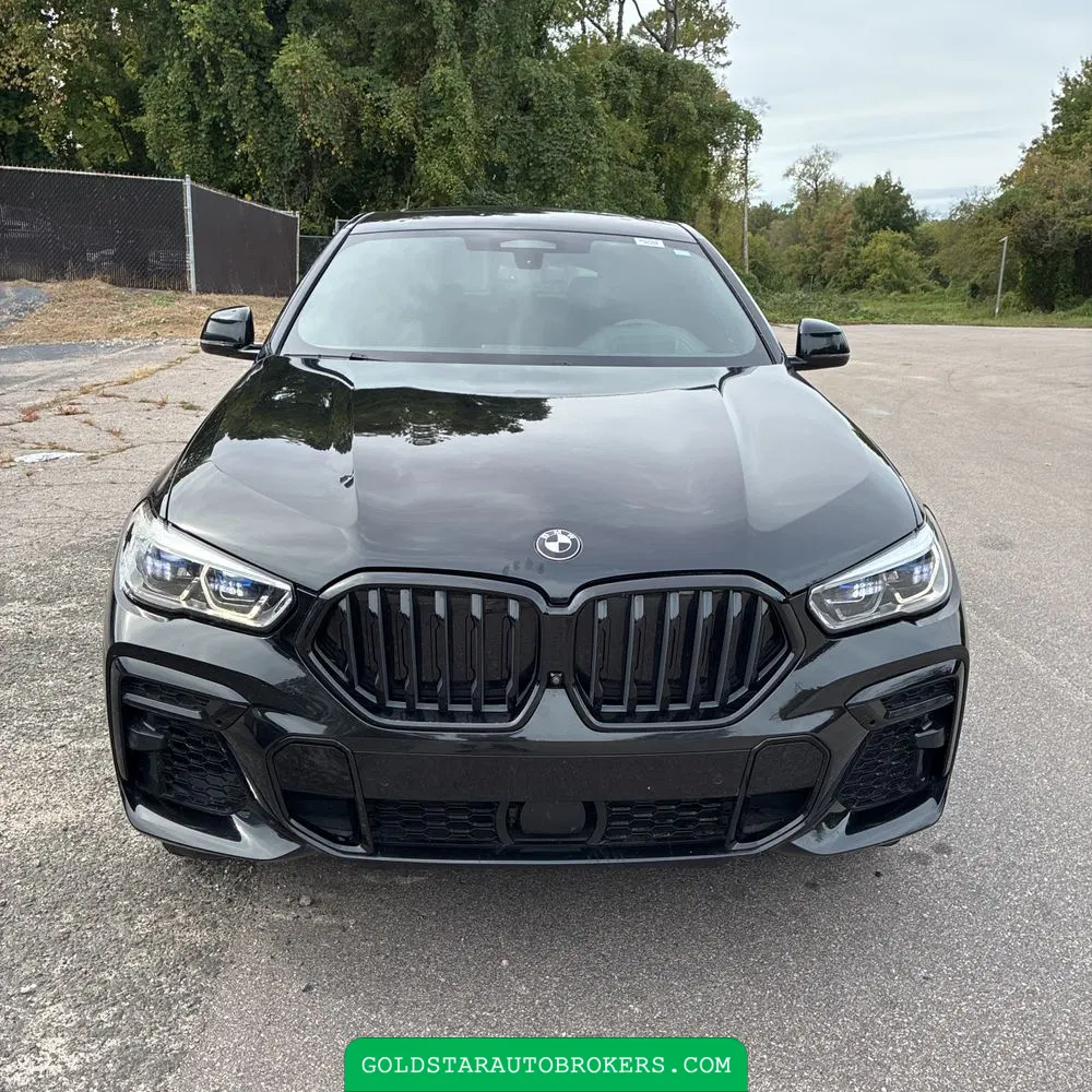 2022 BMW X6 M50i