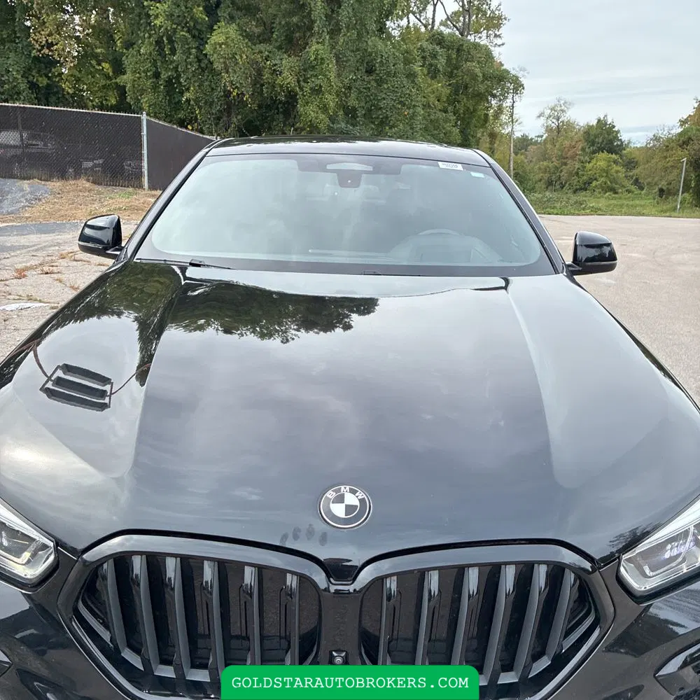 2022 BMW X6 M50i
