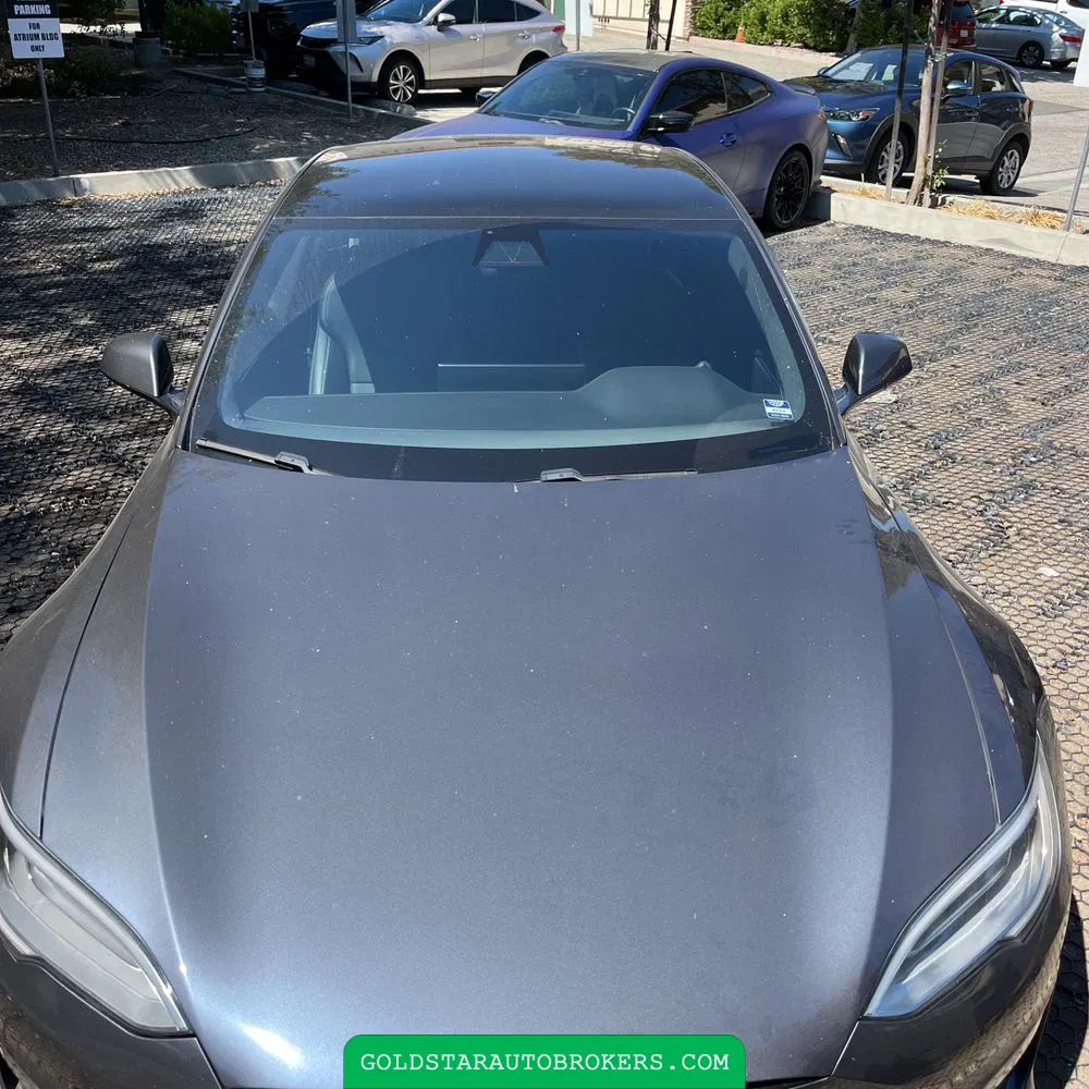 2021 Tesla Model S Plaid