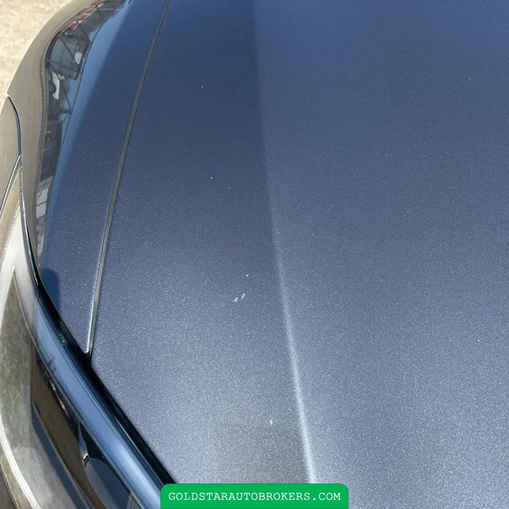 2022 Tesla Model S Plaid