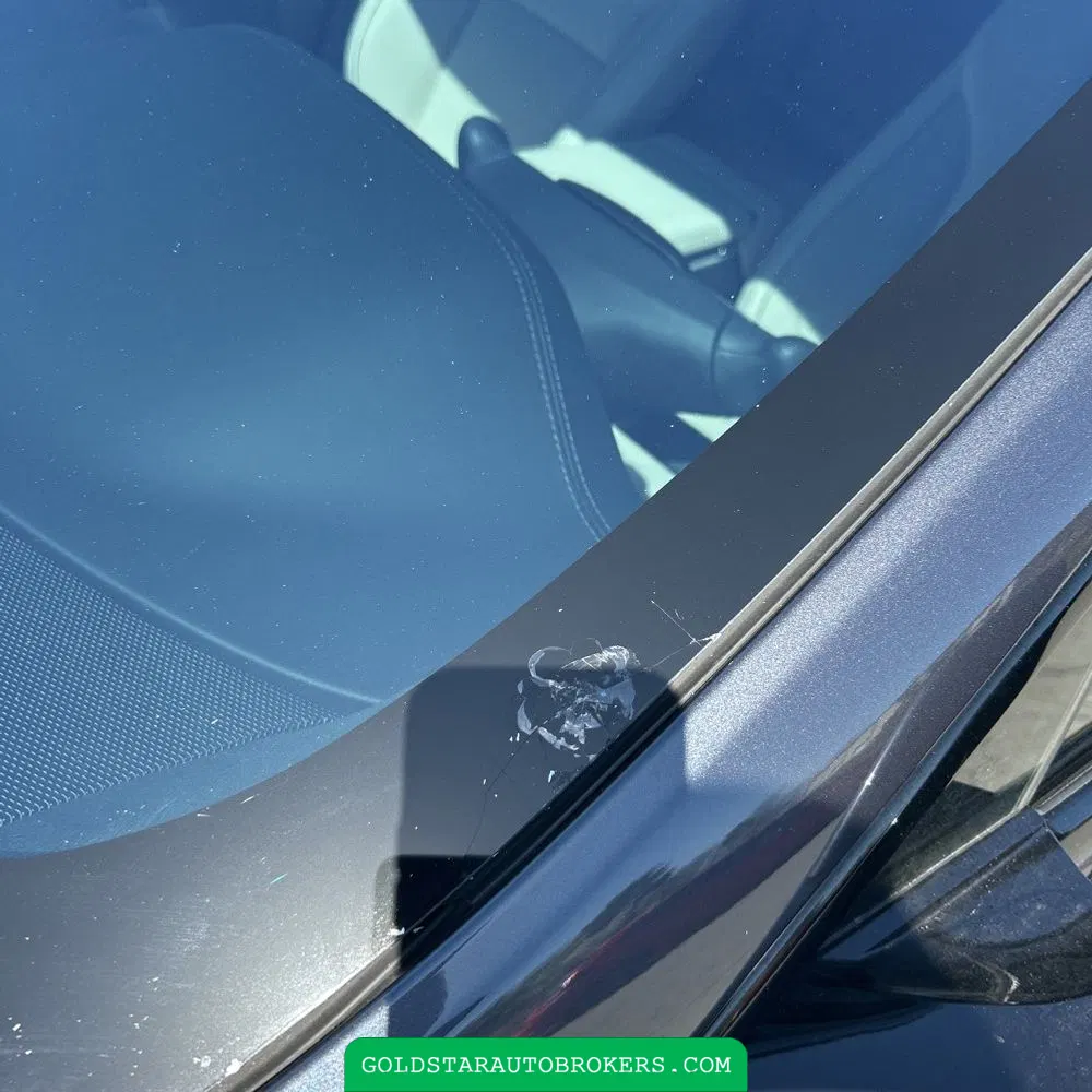 2022 Tesla Model S Plaid